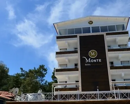 Monte 2*